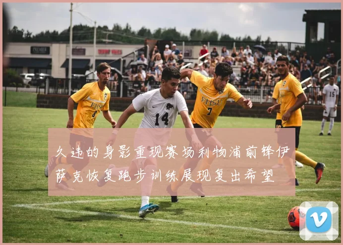 久违的身影重现赛场利物浦前锋伊萨克恢复跑步训练展现复出希望